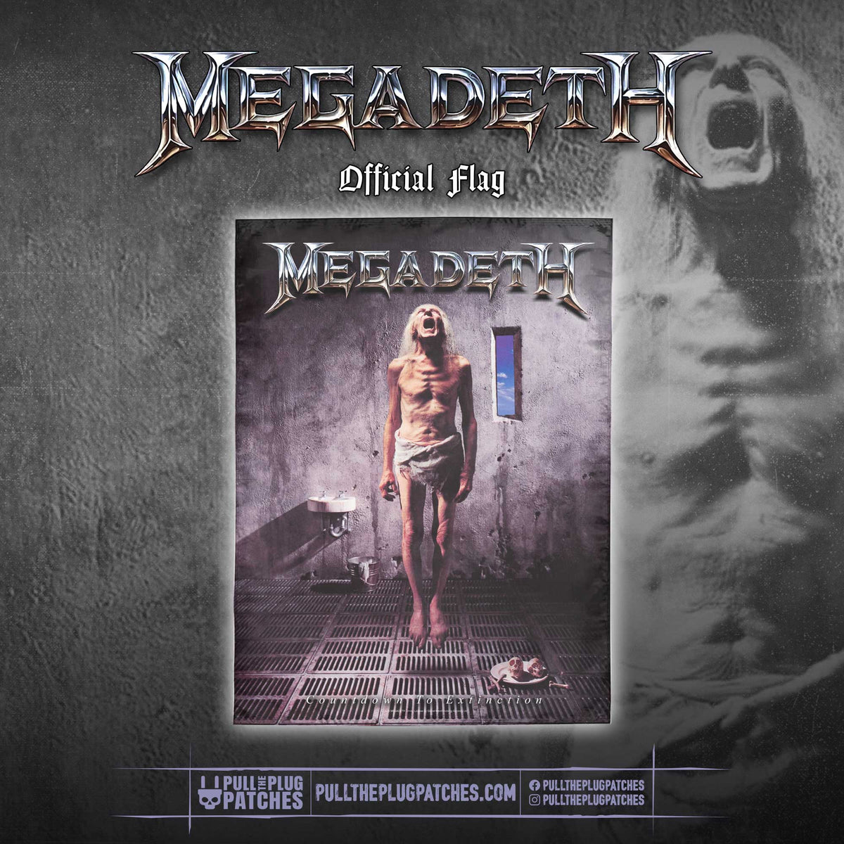 Megadeth - Countdown to Extinction - Flag